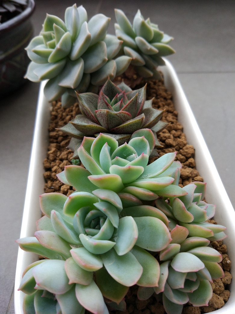 ������Ҫʱ��