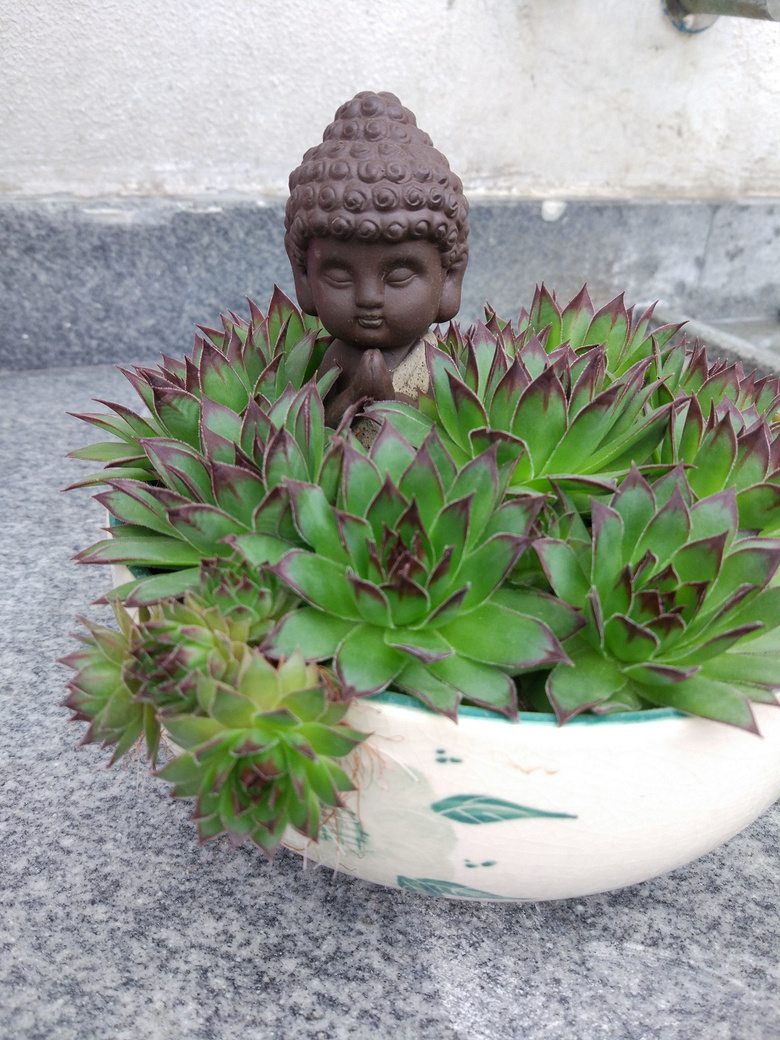 ������Ҫʱ��