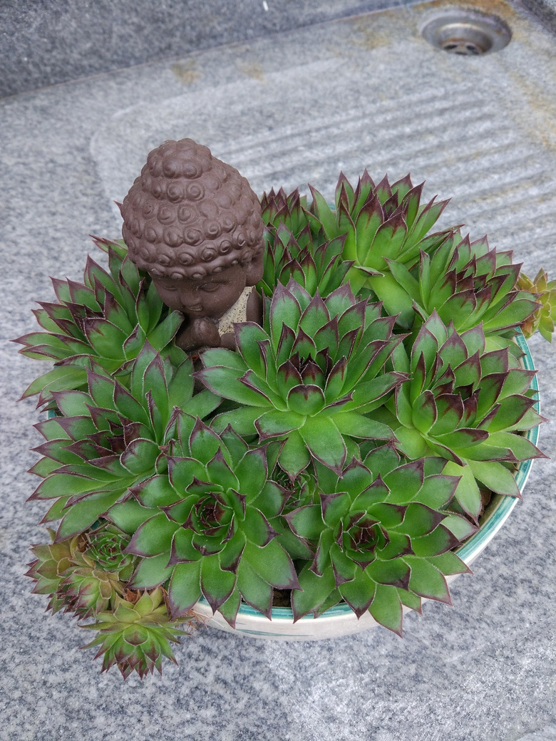 ������Ҫʱ��