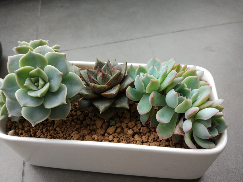 ������Ҫʱ��