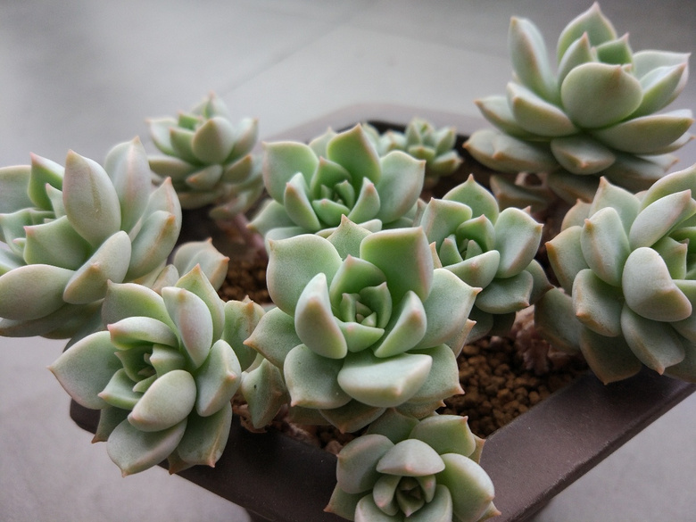 ������Ҫʱ��