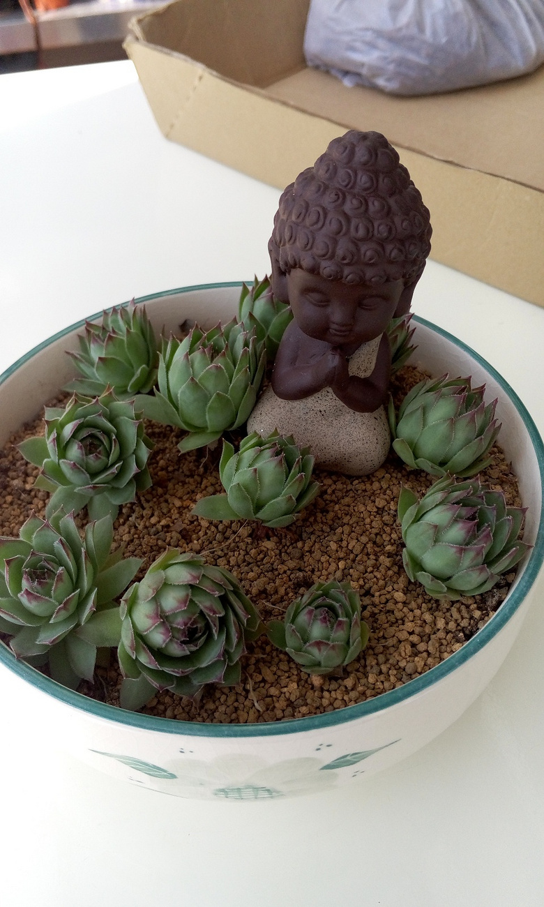 ������Ҫʱ��