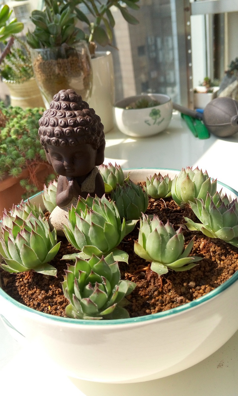 ������Ҫʱ��