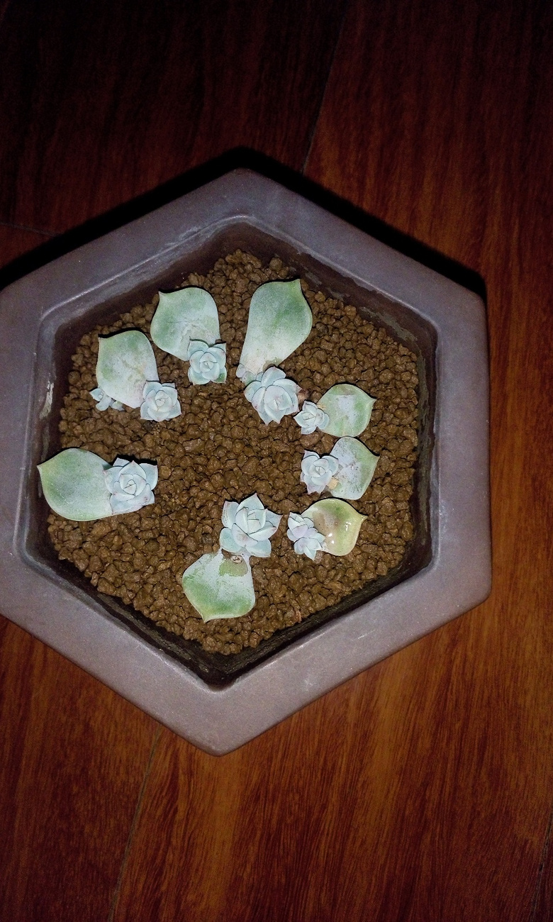 ������Ҫʱ��