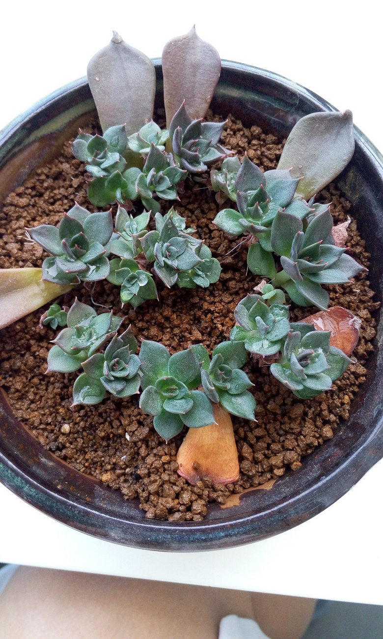 ������Ҫʱ��