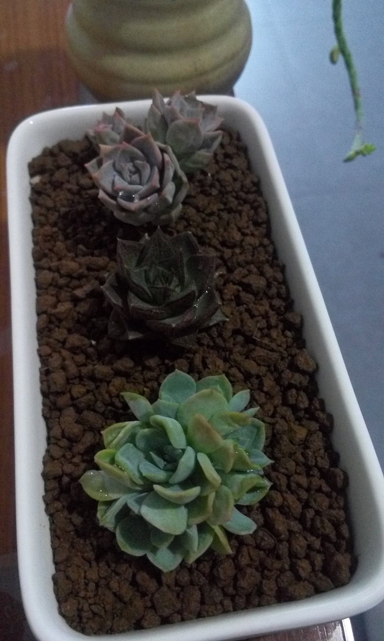 ������Ҫʱ��