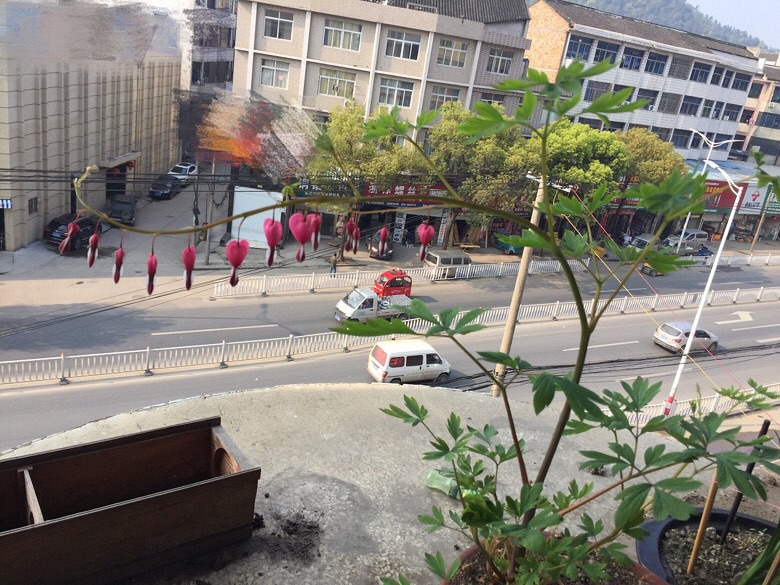 �ɰ�ĵ������