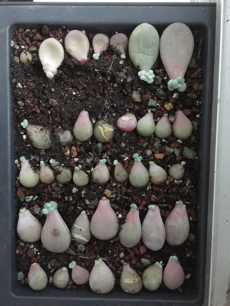 �ҵ��ҵ��־Ϳ������ˣ�