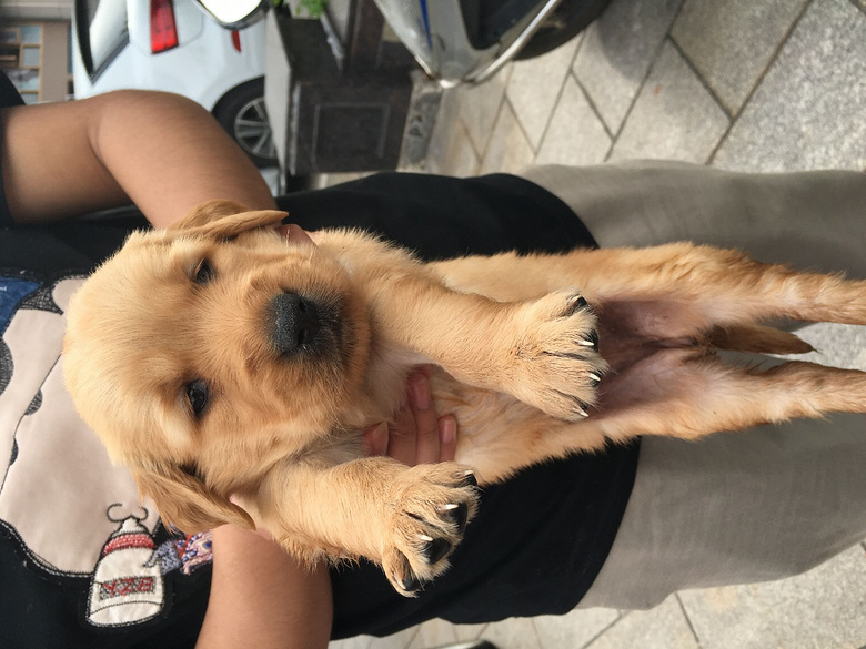 ���ִ�ͷ��ë����