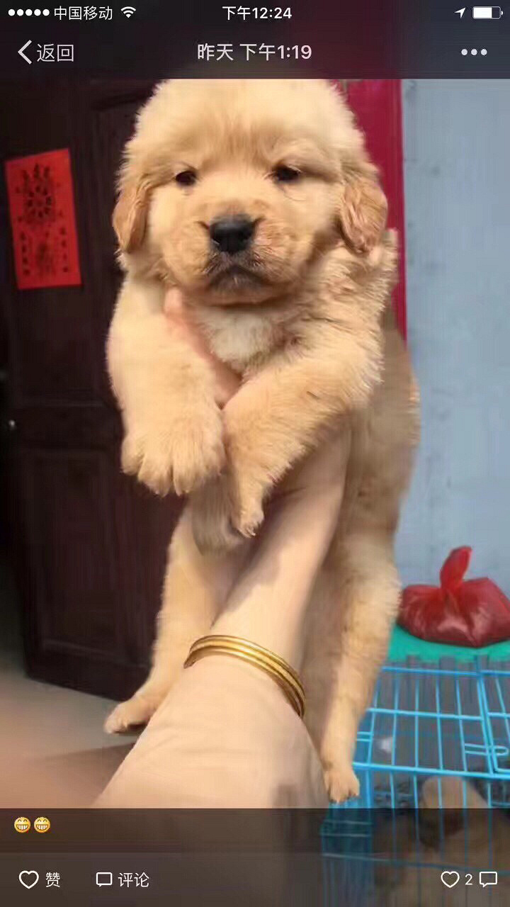 ���� ��è ���� С��������ǿ�������