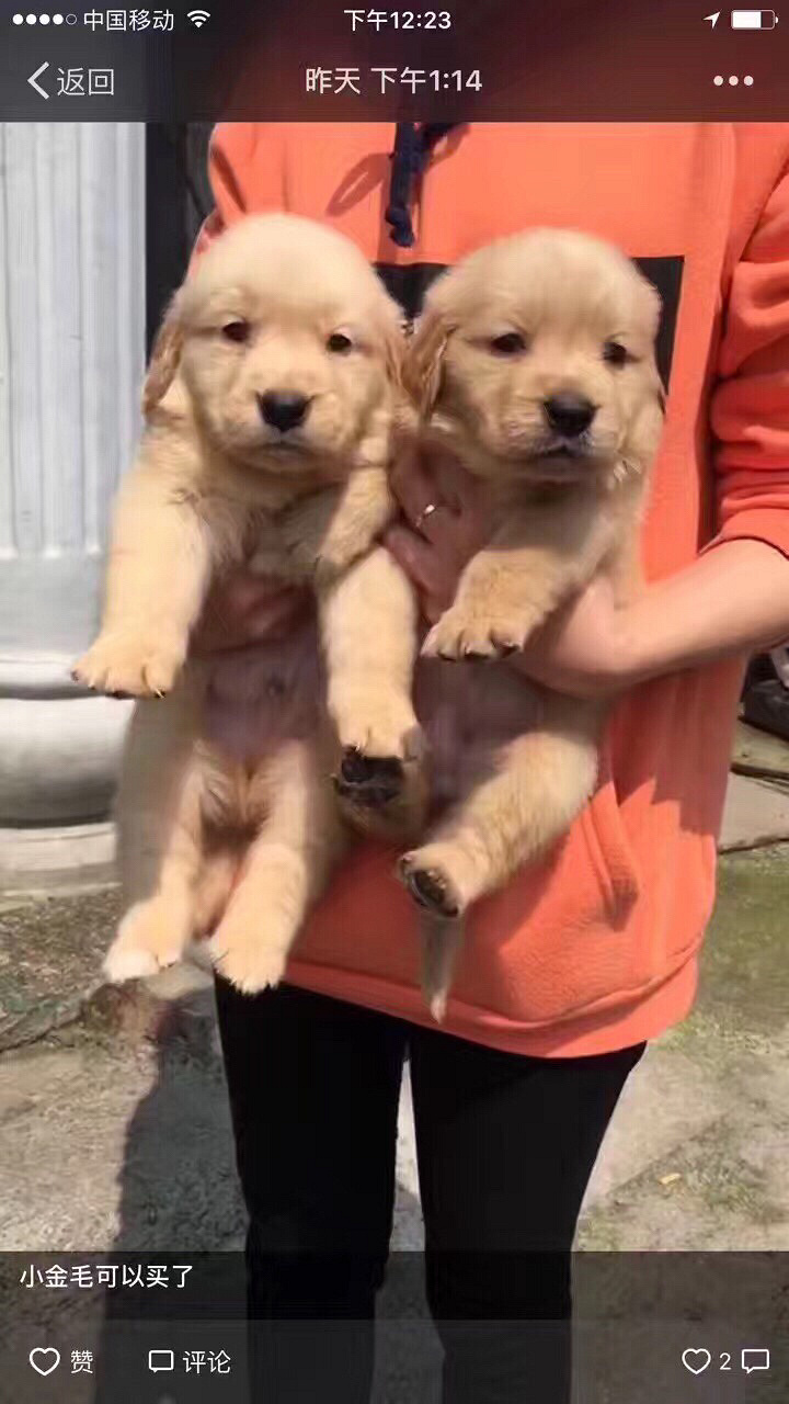 ���� ��è ���� С��������ǿ�������