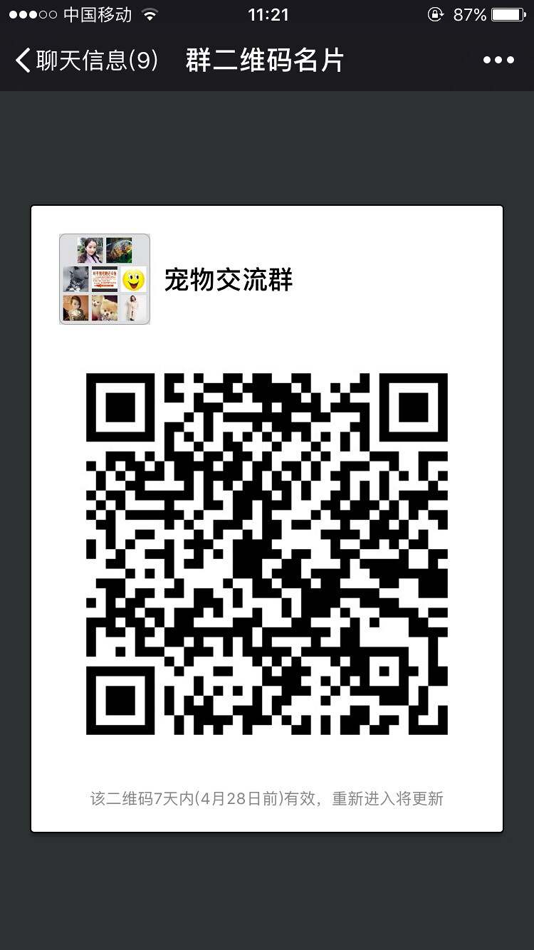 ���� ��è ���� С��������ǿ�������