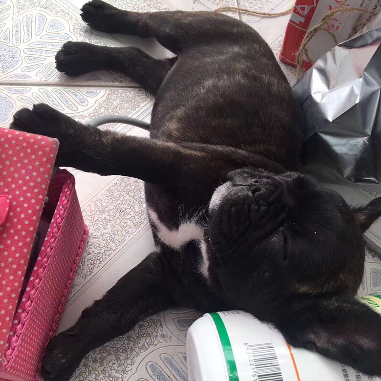 ���� ��è ���� С��������ǿ�������