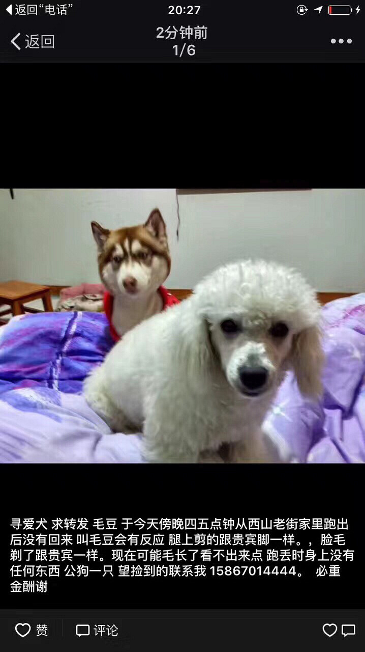 �а��ĵ����������˹�����