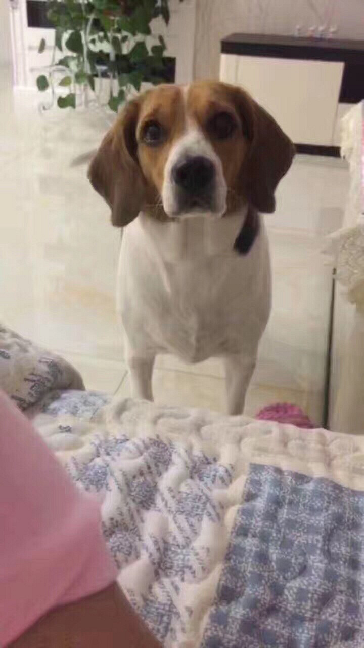 �а��ĵ����������˹�����