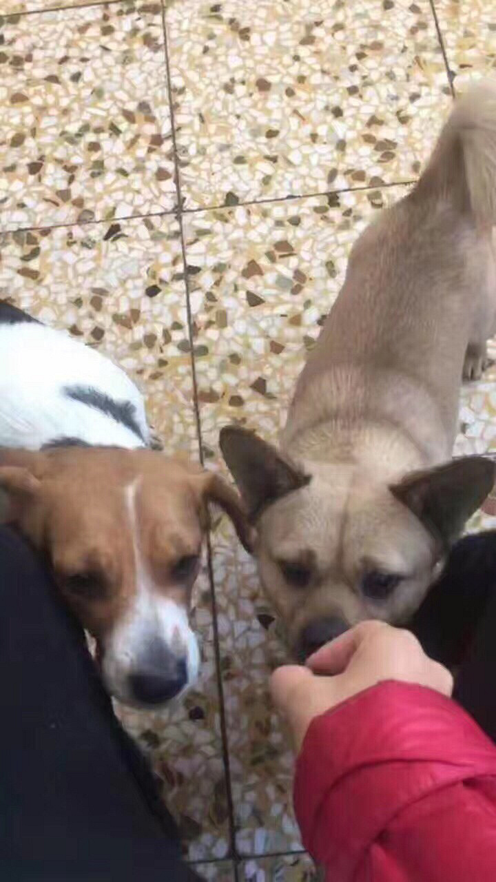 �а��ĵ����������˹�����