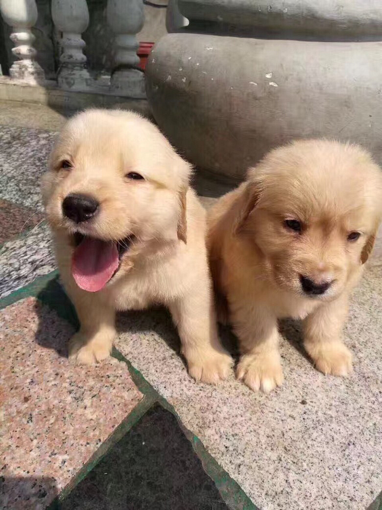 �а��ĵ����������˹�����