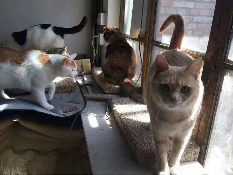 �а��ĵ����������˹�����