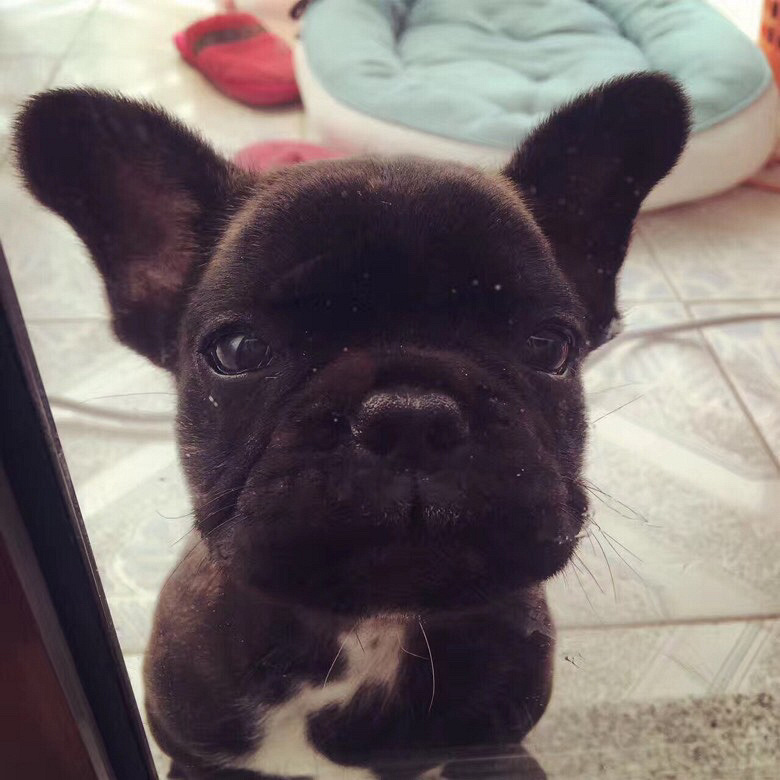 �а��ĵ����������˹�����