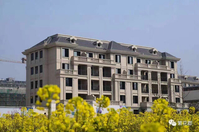 @所有人《金石.繁花郡》王者归来,开盘在