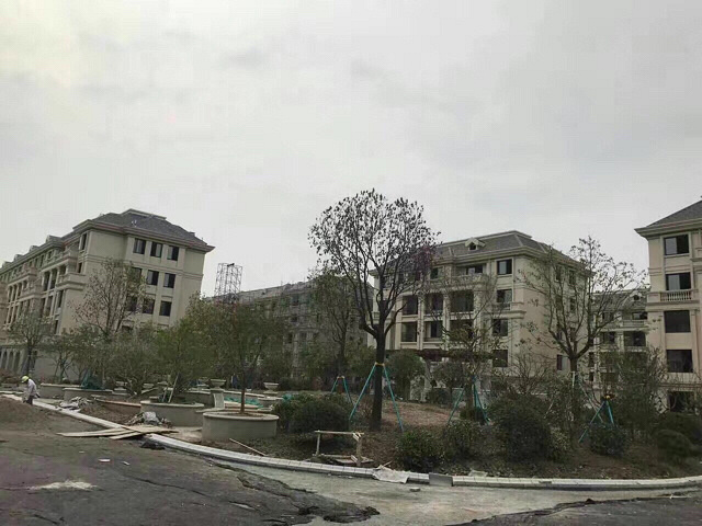 @所有人《金石.繁花郡》王者归来,开盘在