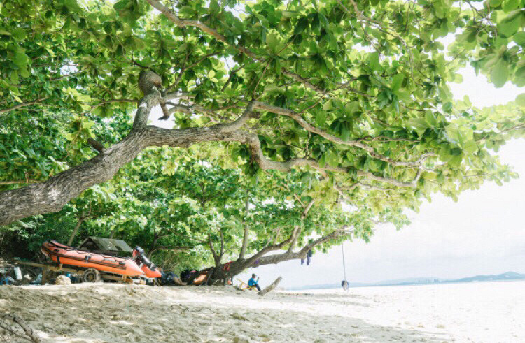 7�£��ڴ��š���