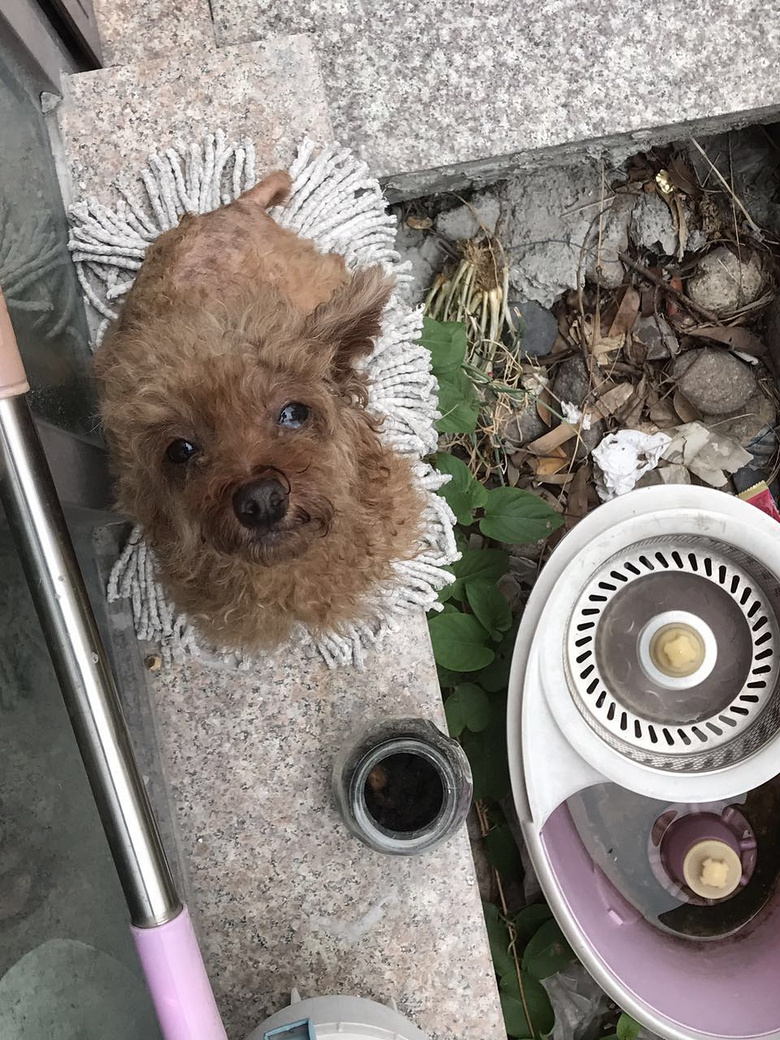 ̩�ϱ������ˣ�����������