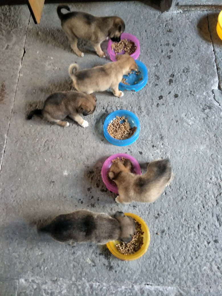 �ɰ�����С�̹�����