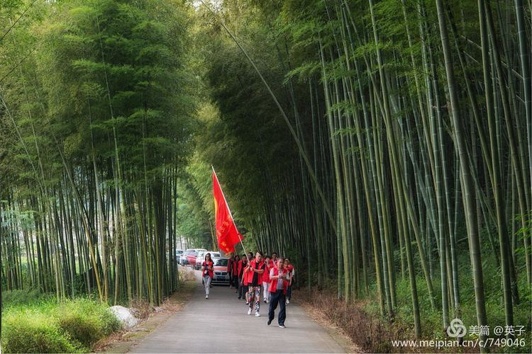 ����ϵɽ�塢���������̨���а�֮�ǹ���Э�����������