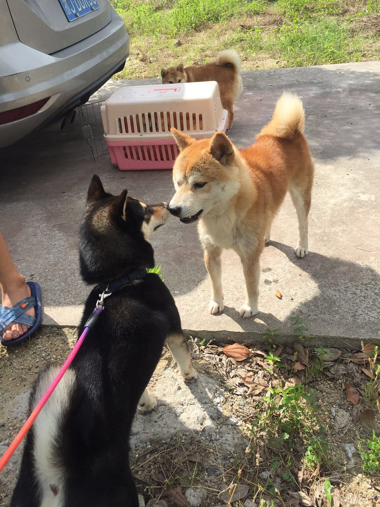 ������Ȯ��������