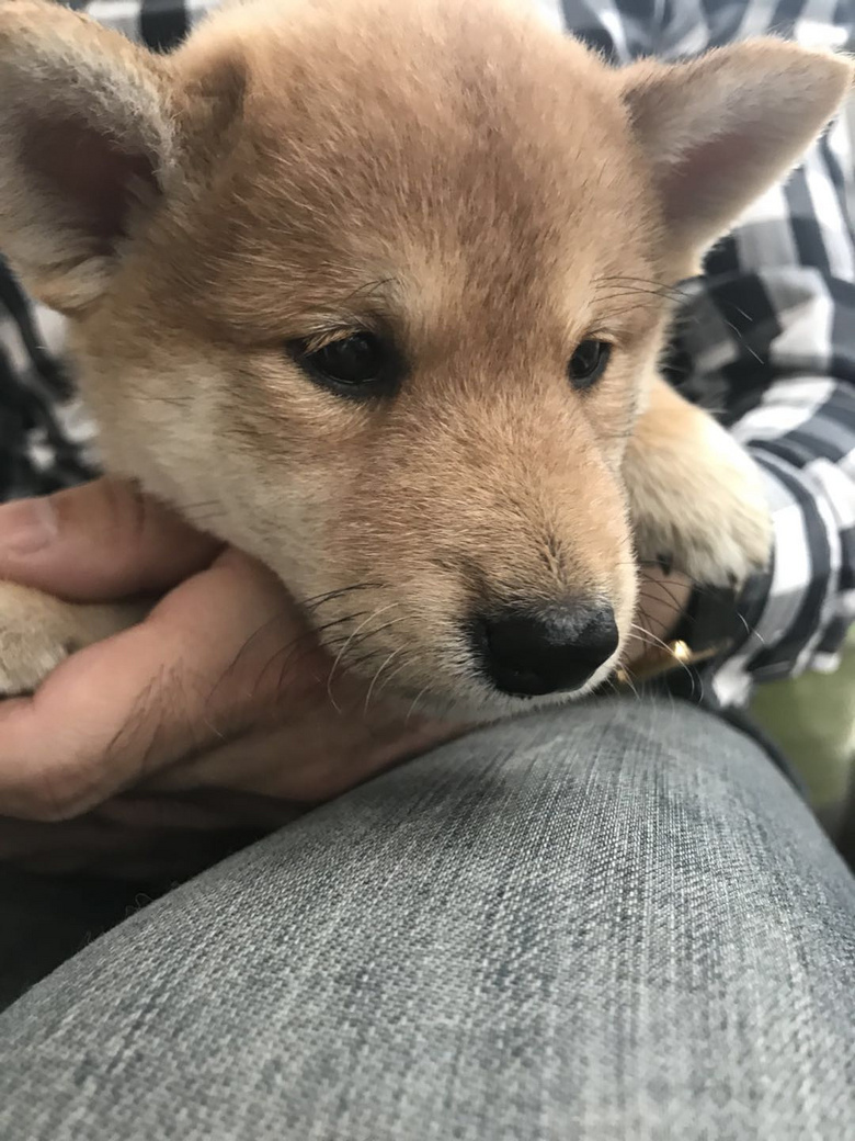 ������Ȯ��������