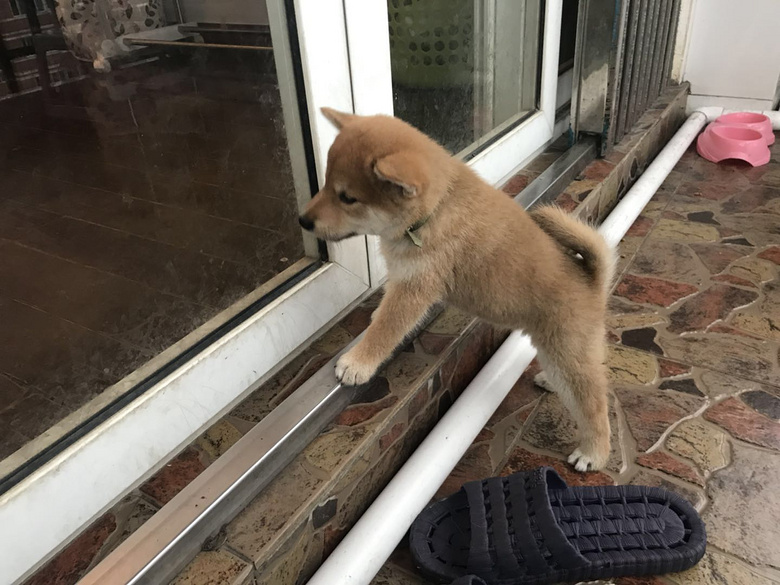 ������Ȯ��������