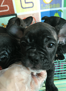 ���ۼ��������»��߷�����ţȮMM������������ȫ