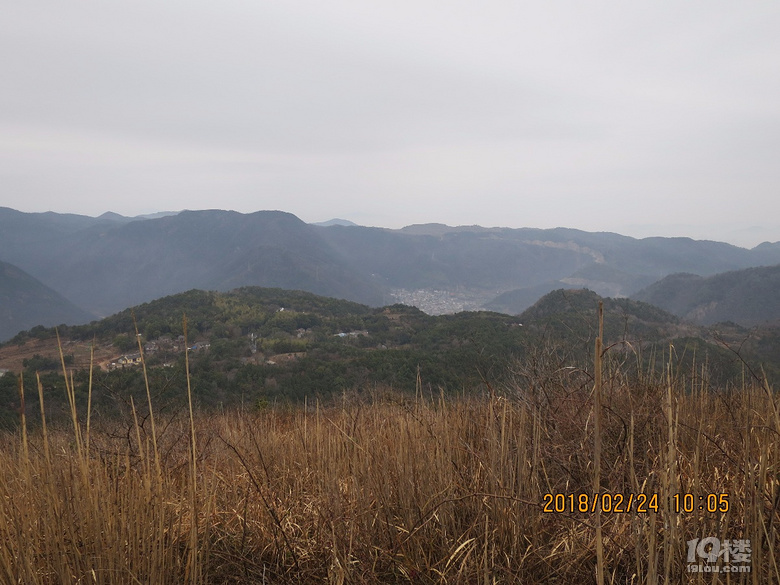 下面的大雷头村及远处山岙中的村庄