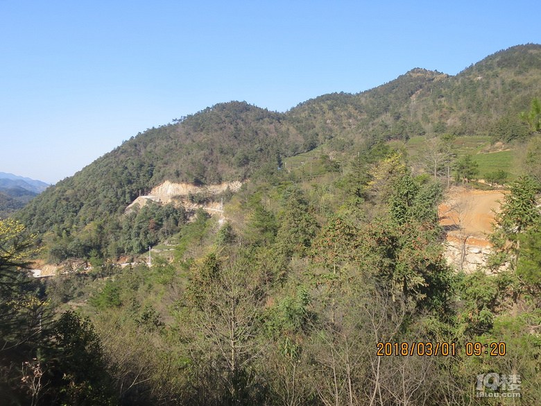 对面是通往鞍顶山下下屋村茶场的公路