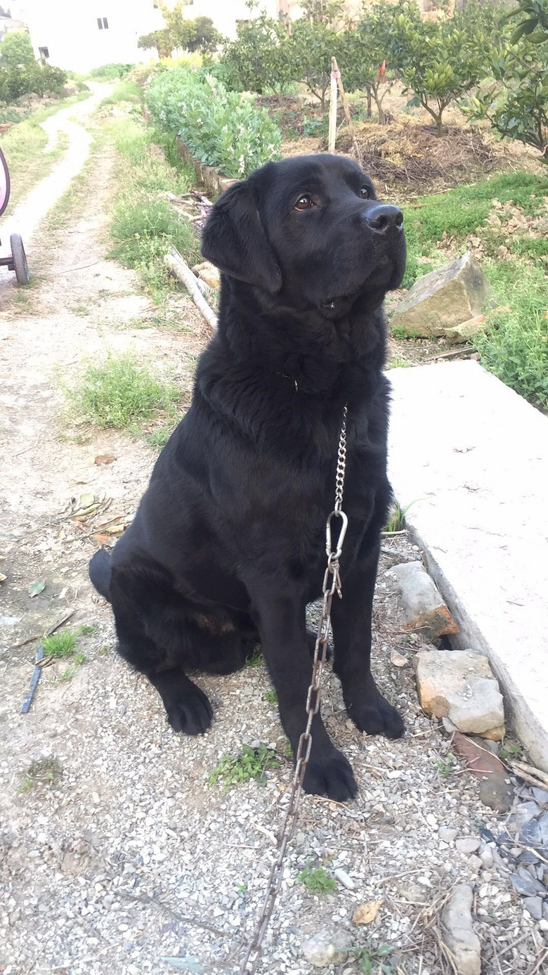 �������� ��Ů���ѿ� Ҳ�ɳ��� ��С��Ȯ
