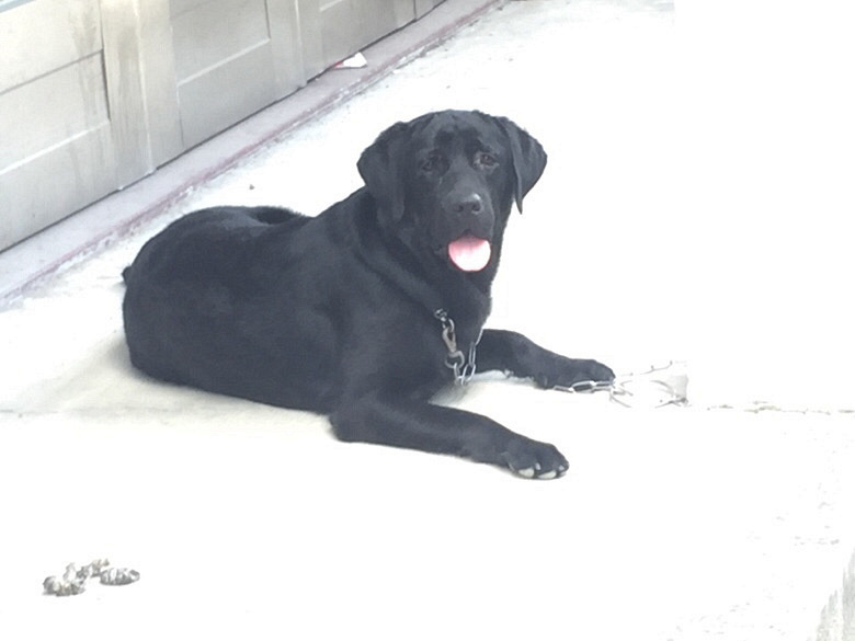 ��������������