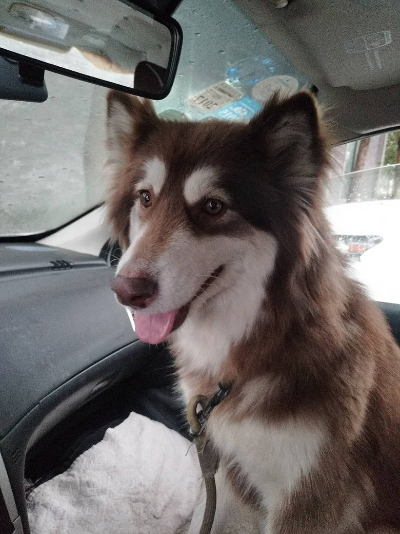 1�갢��˹��ת��