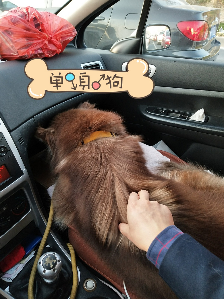 1�갢��˹��ת��