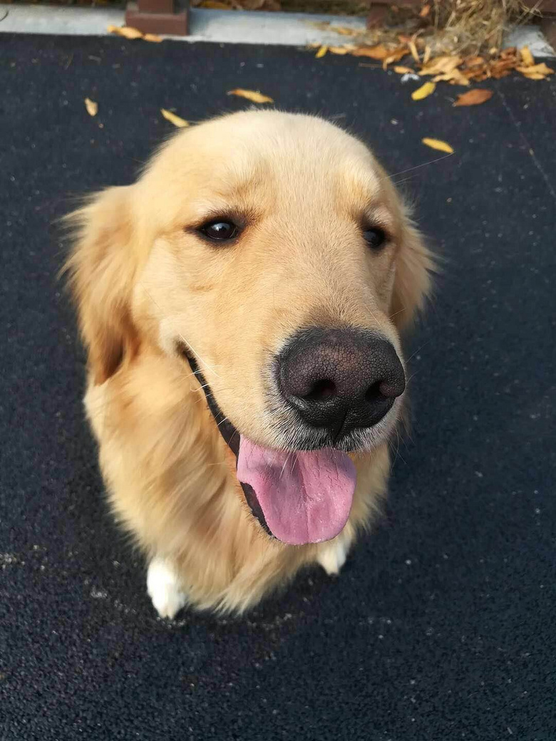 ���ۿɰ��Ľ�ë��Ȯ666����ĸһ���ٶ�