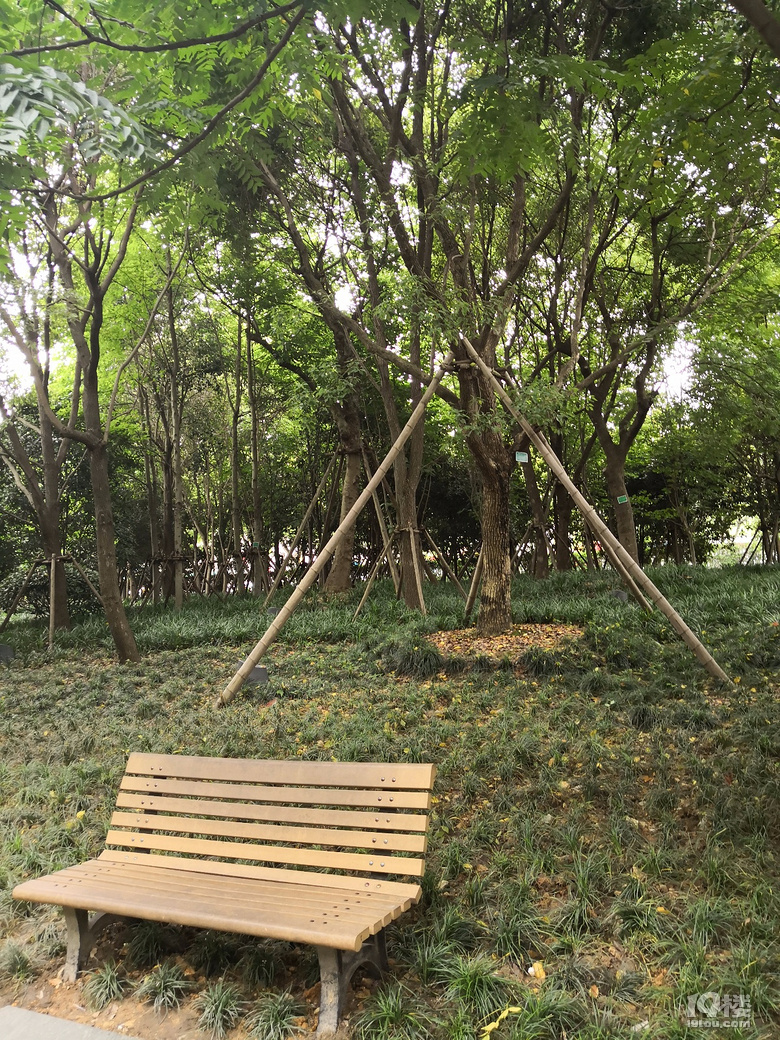 180602台州市路桥区路北街道三山村中央山公园一期——公园