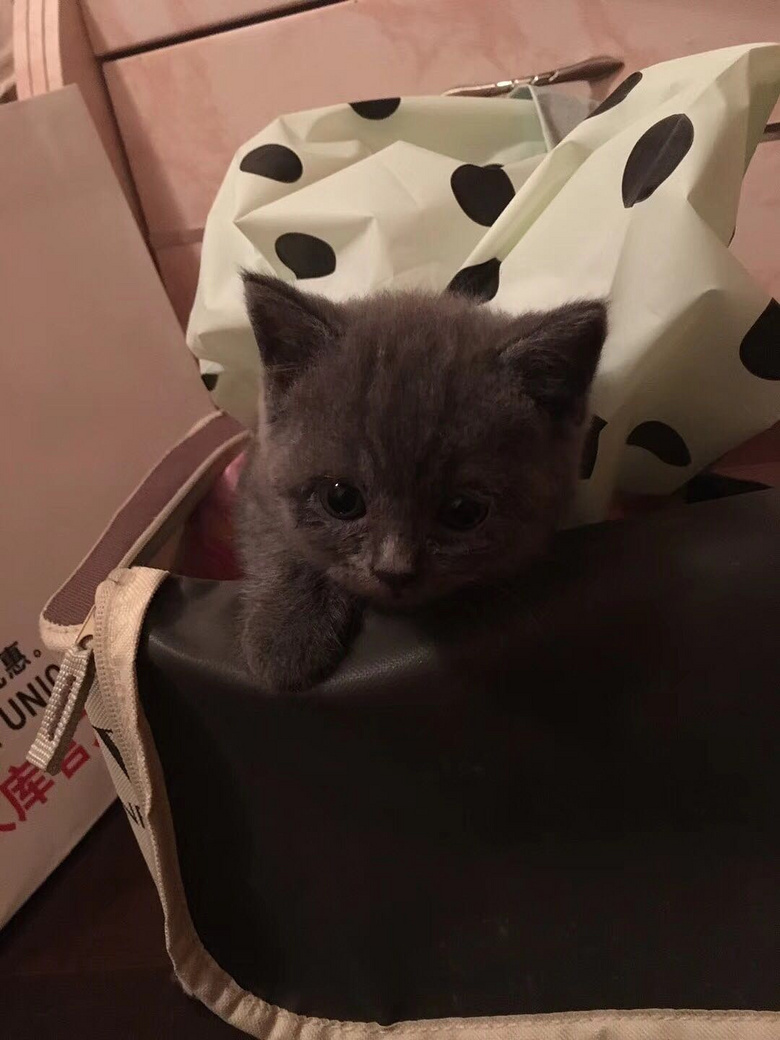 2���´���èdd�Ҽҳ���