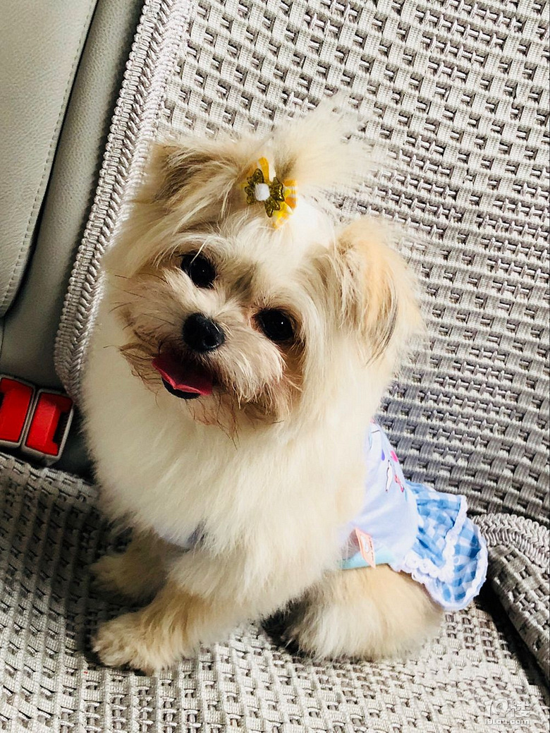 ������Լ���ĵ��뿴����Ŷ~