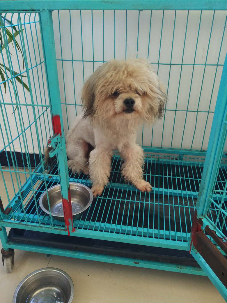 ������ͳ��ﹷ