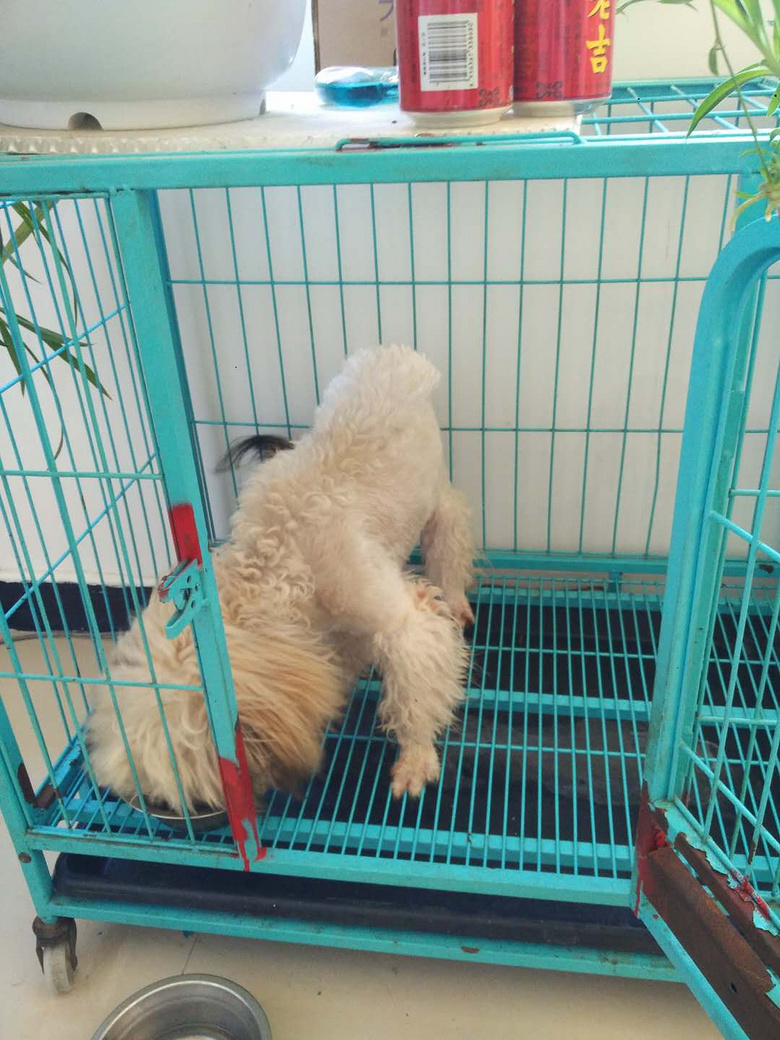 ������ͳ��ﹷ