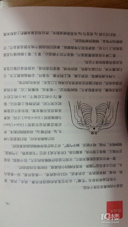 孩子扁桃体三度,动不动感冒咳嗽。该怎么办。