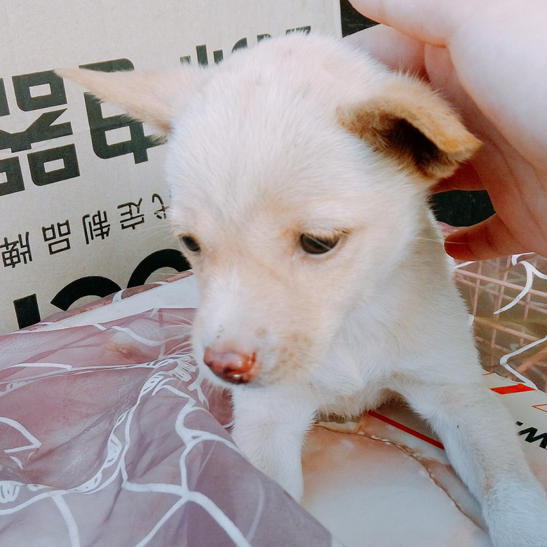 ������͹���