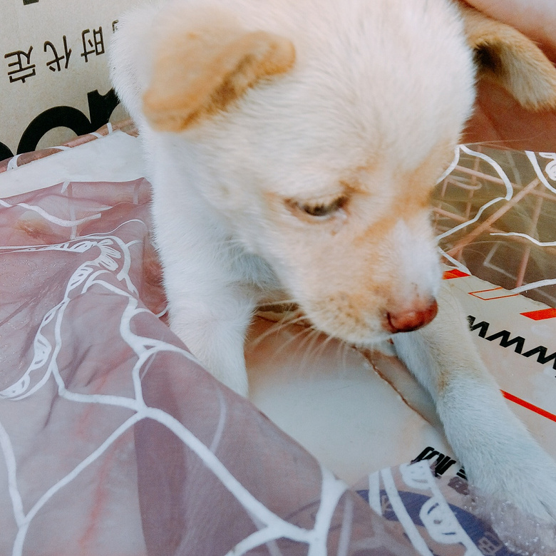 ������͹���