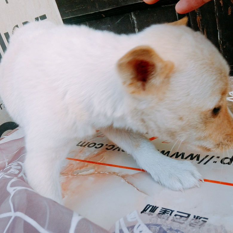 ������͹���