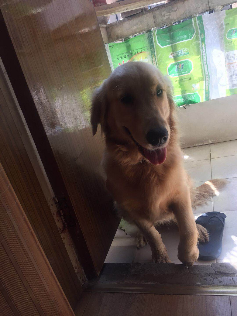 Ѱ������ʿ